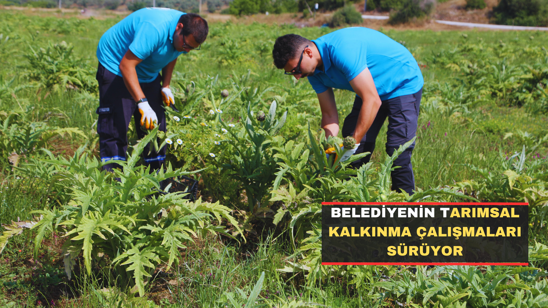 Belediyenin Tarımsal Kalkınma Çalışmaları Sürüyor