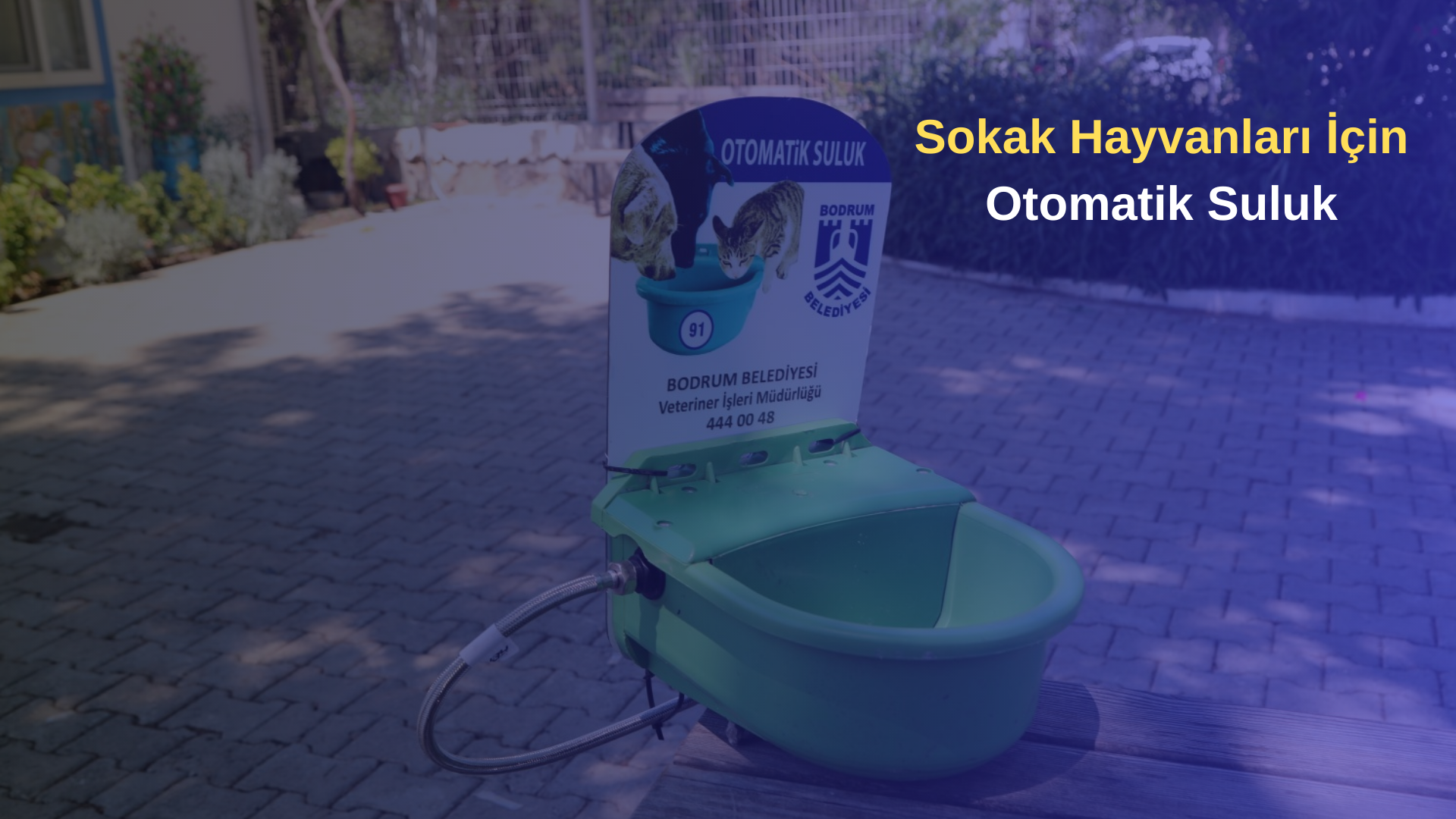 Sokak Hayvanları İçin Otomatik Suluk