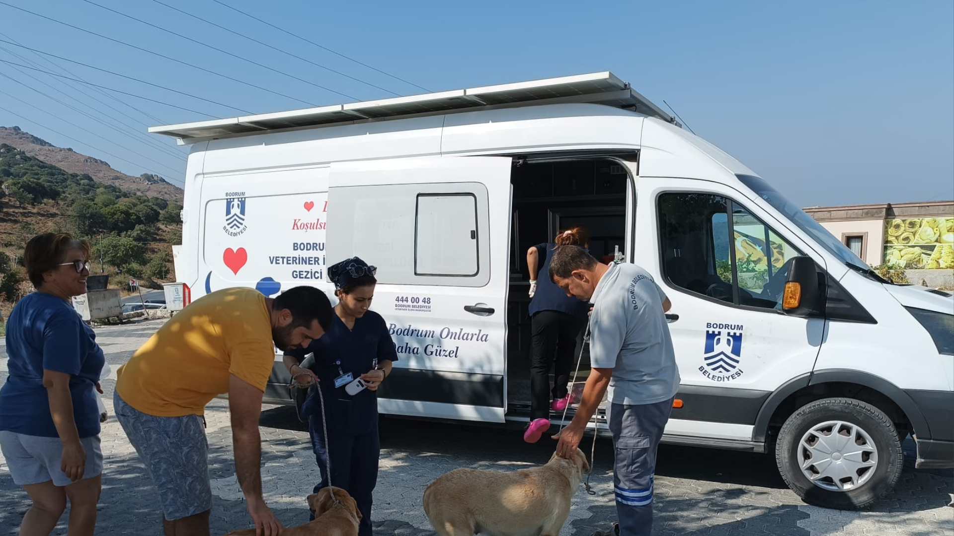 Sokak Hayvanlarına Yönelik Çalışmalar Sürüyor