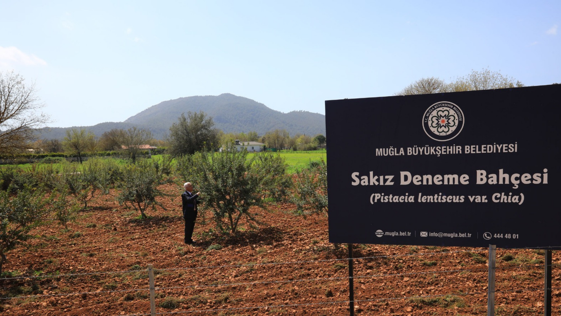 Büyükşehir Sakız Deneme Bahçesi İlk Ürünlerini Verdi