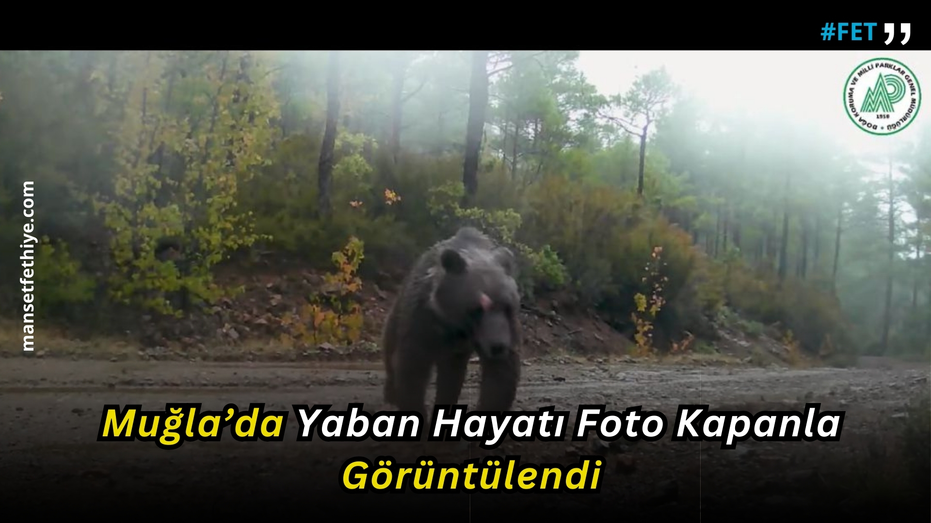 Muğla’da Yaban Hayatı Foto Kapanla Görüntülendi