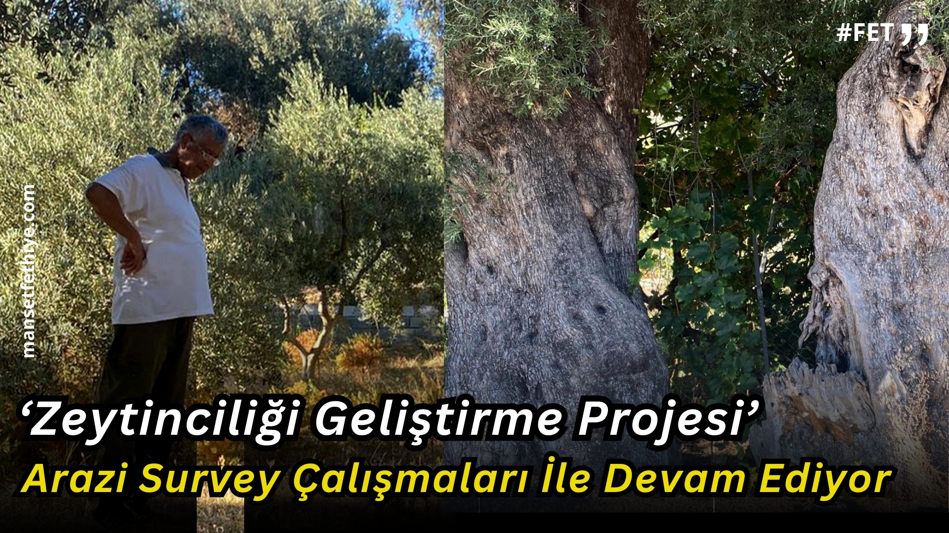 Zeytinciliği Geliştirme Projesi’ Arazi Survey Çalışmaları İle Devam Ediyor